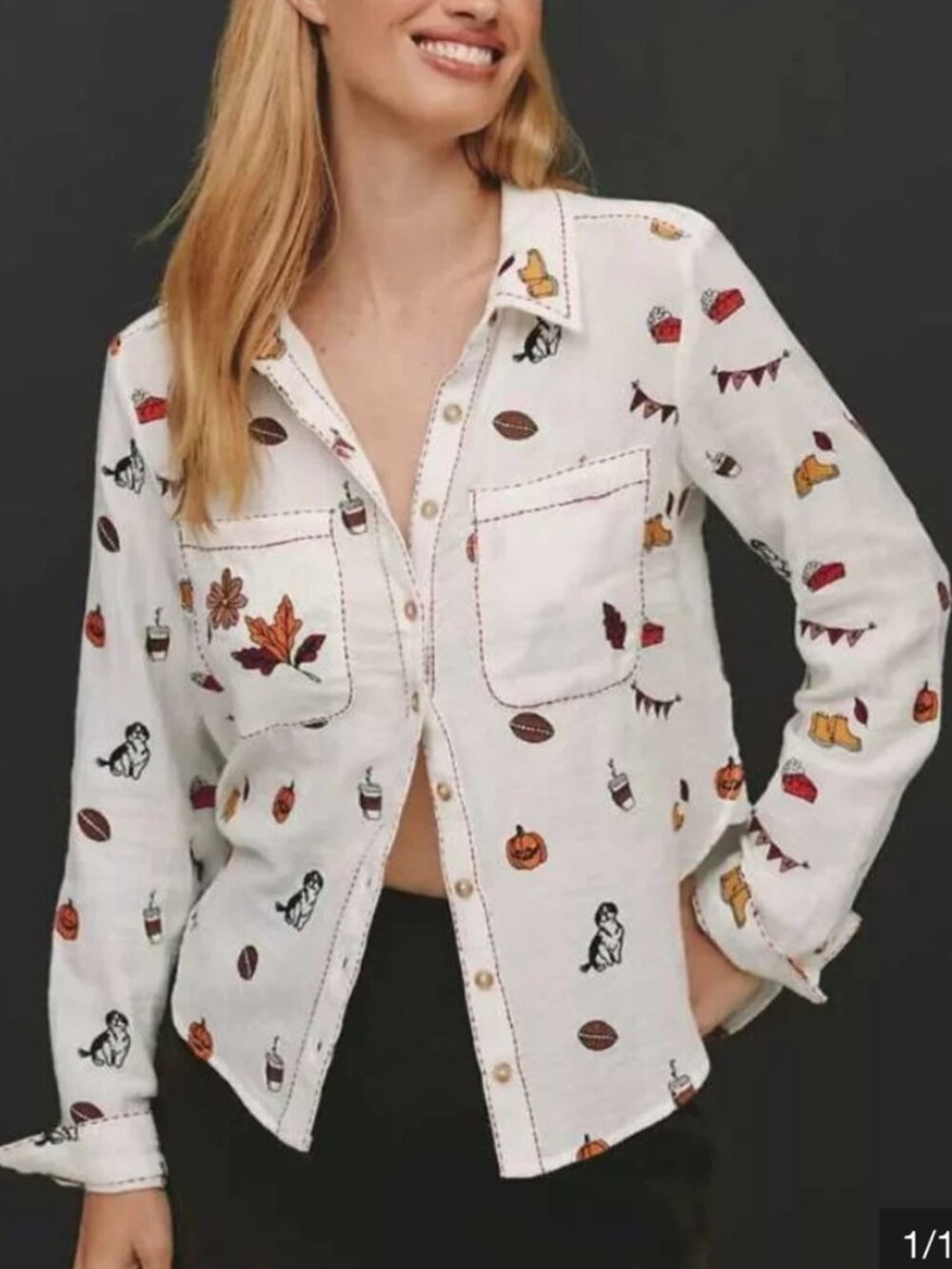 Pilcro Embroidered Fall Icon Button down Shirt Women's sz XL NWT Anthropologie